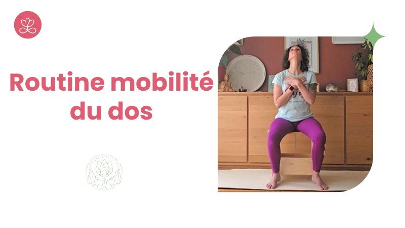 1. Routine mobilité du dos